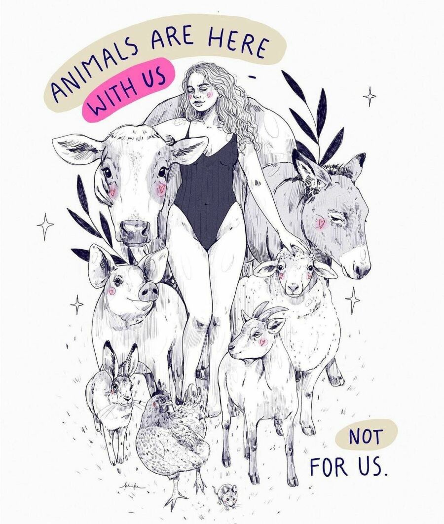 Imagem Animais-estão-aqui-com-a-gente-e-não-para-a-gente